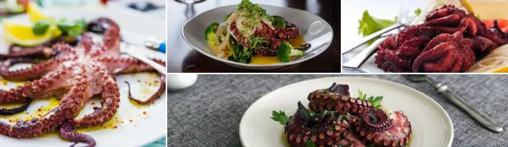 sous vide octopus, cooking octopus, boiled octopus recipe