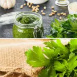 Parsley vs Cilantro: How To Tell The Difference