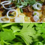 Coriander Root - Demystifying This Exquisite Ingredient