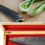 Best Santoku Knife Reviews - The Sharpest Knives For Chopping