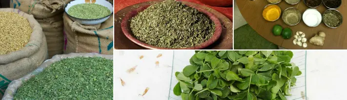 kasoori methi, fenugreek leaves substitute, what is kasuri methi
