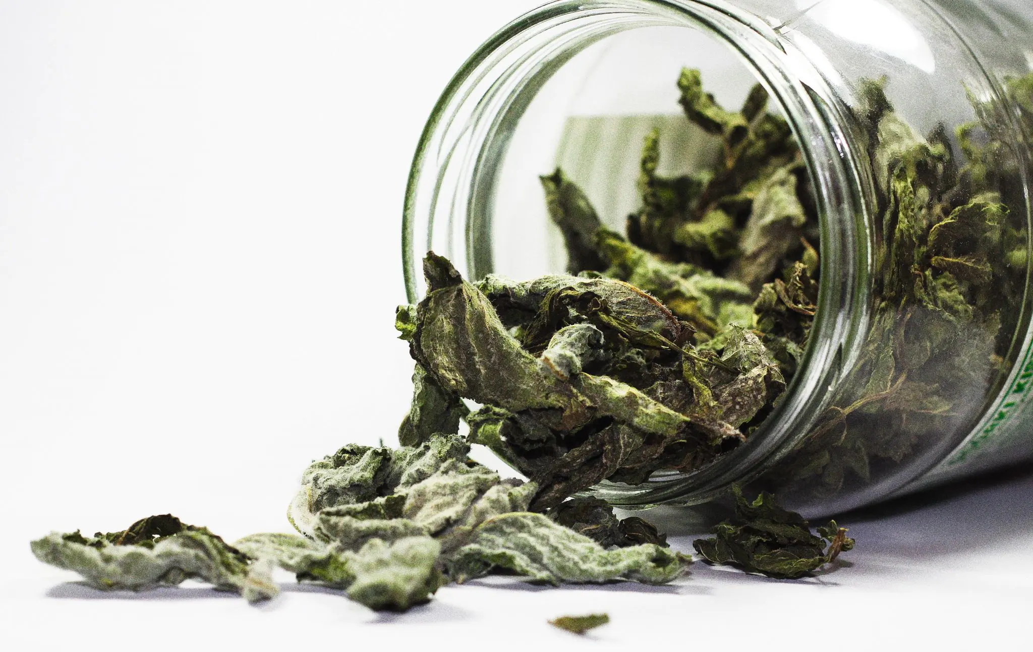 leaves spices, exotic spices