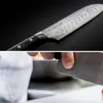 Tojiro Knives Review – The Best Introductory Japanese Knives?