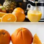 The 4 Best Twin Gear Juicers of 2020 • An Honest Review