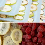 Excalibur Food Dehydrator Review – All You Need to Know