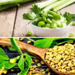 Fenugreek Substitute • The Ideal Solution For Kitchen Emergencies