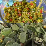 Tuna Plants • Its Amazing Benefits for Health Tuna Plants • Its Amazing Benefits for Health